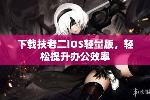 下载扶老二iOS轻量版，轻松提升办公效率