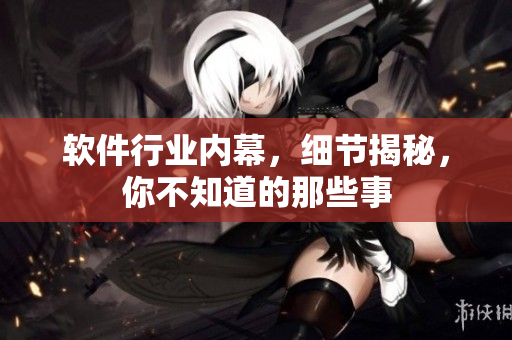 软件行业内幕，细节揭秘，你不知道的那些事